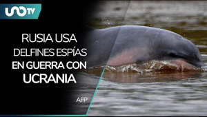 El Instituto Naval de los Estados Unidos, a través de su página USNI News, reveló mediante imágenes satelitales que Rusia ha utilizado delfines espías desde que inició la invasión militar emprendida desde febrero pasado en Ucrania.

https://cutt.ly/MGWKfcv