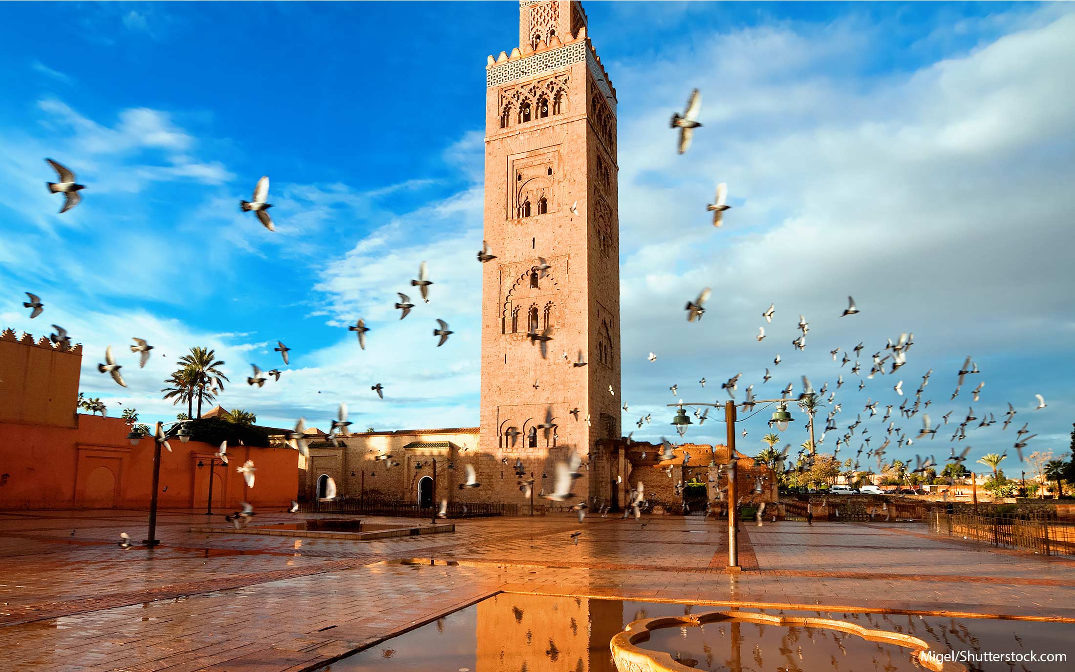 <ul> <li>Explore Worldwide's Grand Tour 20-day tour starts at $2,100, with the single room option starting at $440.</li> </ul> <p>Morocco offers everything from mountains to deserts to coastal climes. Visitors to the country can see the sights of Rabat, Meknes, Fes and Marrakech. Explore Worldwide's Imperial Cities and Deserts Tour takes travelers around exotic souks, or open-air markets, through gorges in the Atlas Mountains and on to discover desert oases, with the option of spending a night in the Sahara Desert.</p>