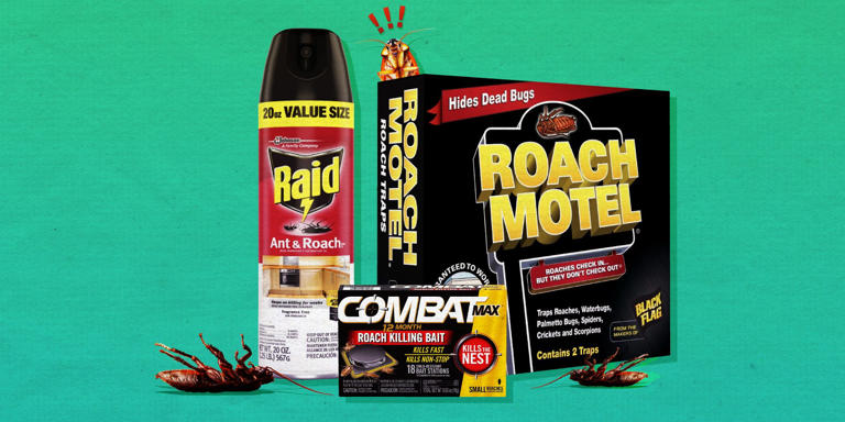 The 5 best roach killers of 2026, according to pest control experts