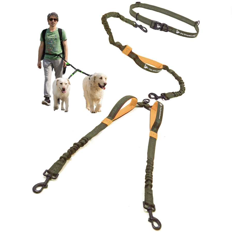 Here Are the Best Dog Running Leashes to Keep Up With Your Pup