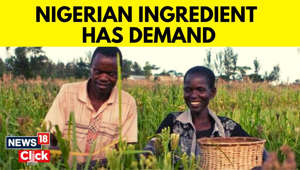 Nigeria News | Poor Farmers Make Profit As Companies Focus On Buying Nigerian Ingredients | News18