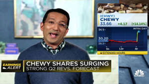 We're seeing tremendous consumer resilience in the pet sector, says Chewy CEO Sumit Singh