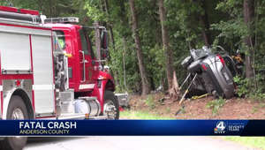 1 person killed in Anderson County when vehicle hits tree, coroner's office says
