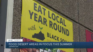 Food desert areas in focus this summer
