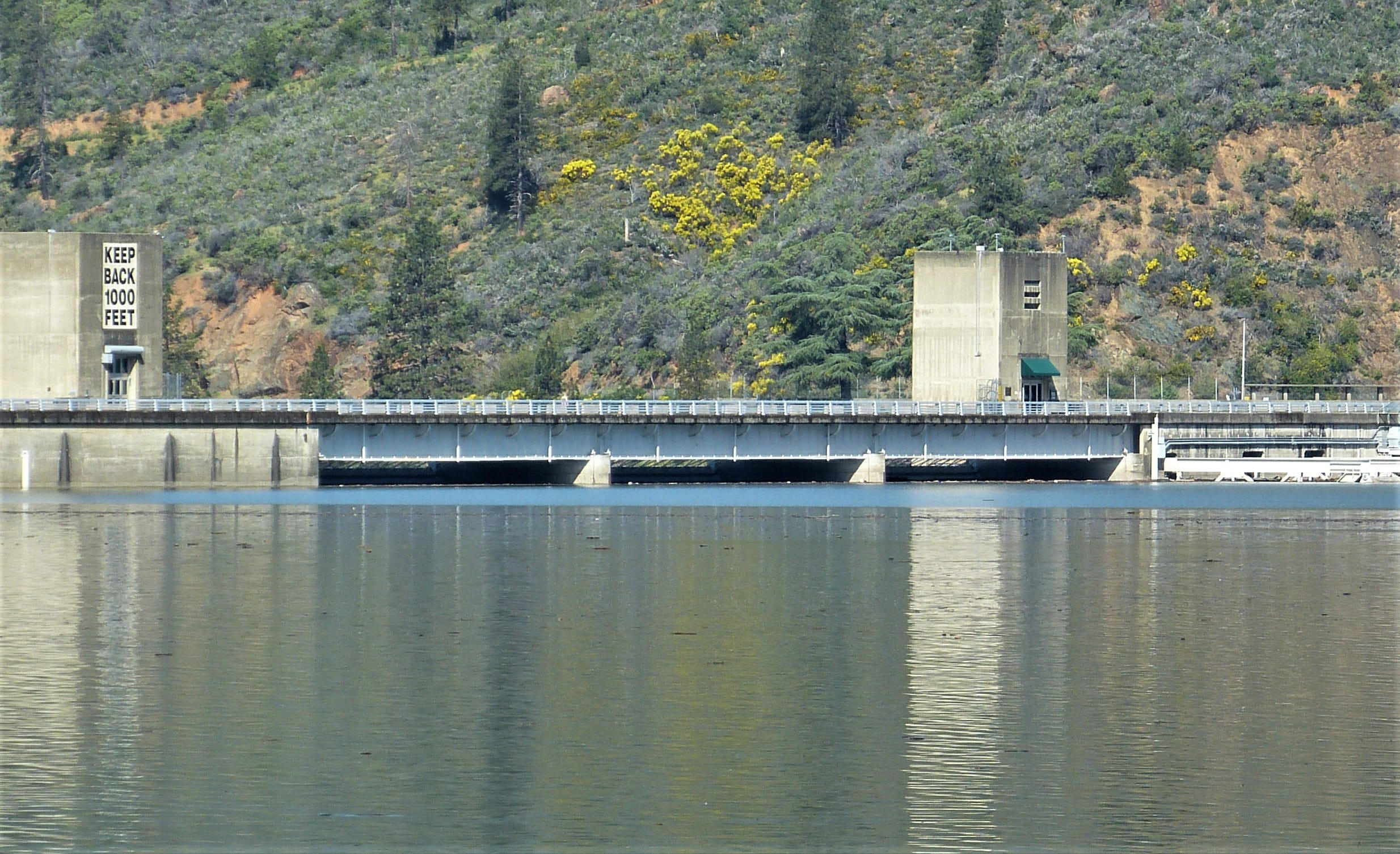 Ask the RS While Lake Shasta is brimming, Trinity Dam is not even