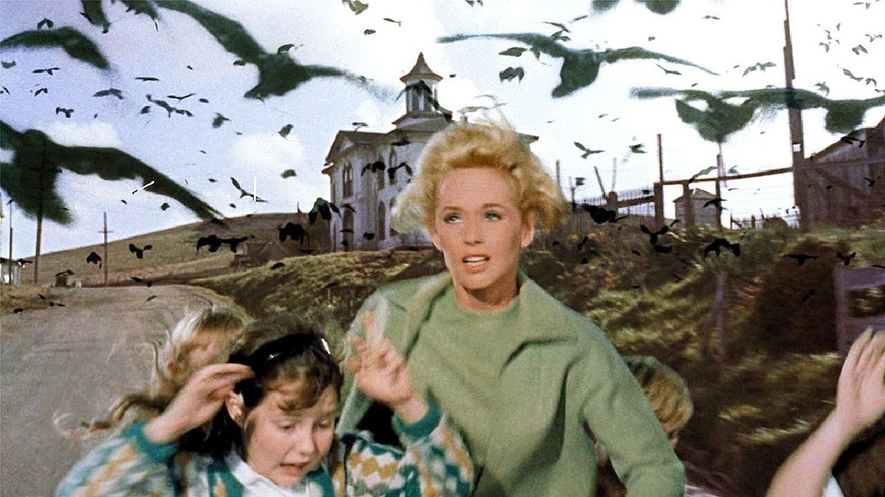 <p>                     For proof that Alfred Hitchcock's mastery of suspense has stood the test of time, look no further than the 94% RT score for <em>The Birds</em>, which is made up almost entirely of reviews from after the year 2000. The majority agree that this story of a coastal town falling prey to various breeds of the unlikely, winged, titular enemy is a devastating, hair-raising creature feature.                   </p>