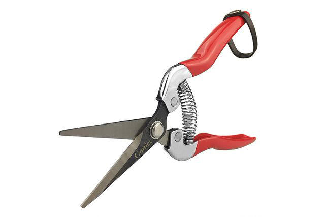 The 12 Best Pruning Shears Of 2024 To Keep Your Garden In Check