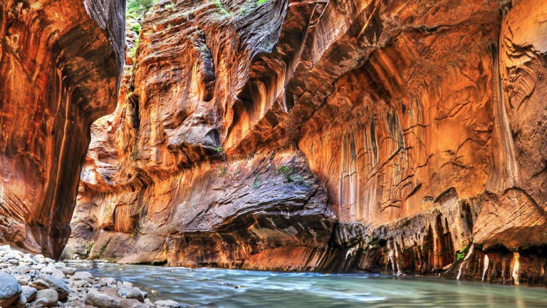 Are you planning a trip to Zion? Use this guide to discover all the best things to do in Zion with kids including hikes, tubing, food & lodging rec's, & more!