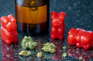gummy bears with cannabis buds