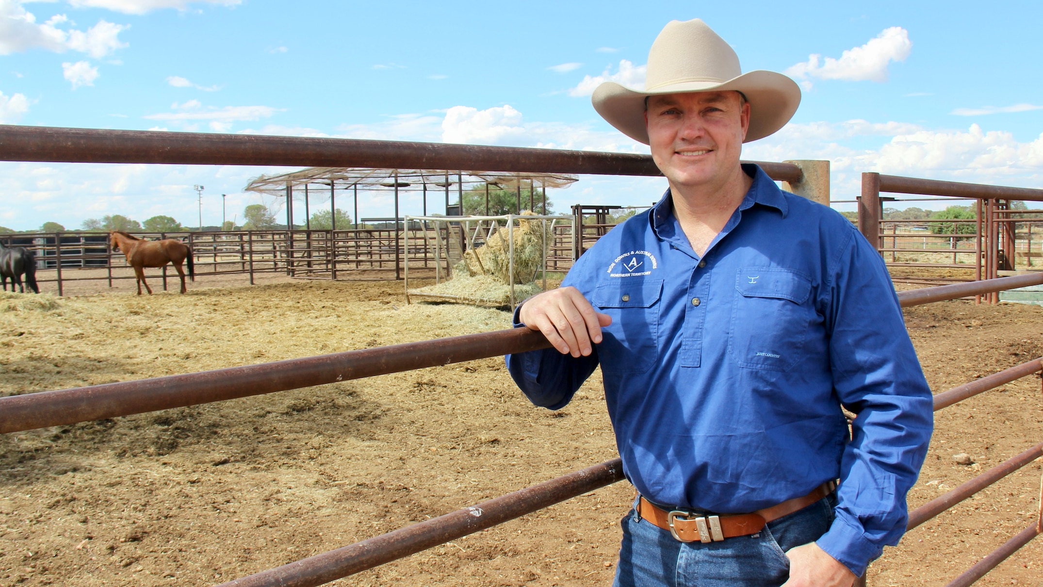 Australia's largest cattle company AACo increases its herd size and ...