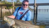 Fishing report: Two weeks for snook; Dolphin, grouper biting