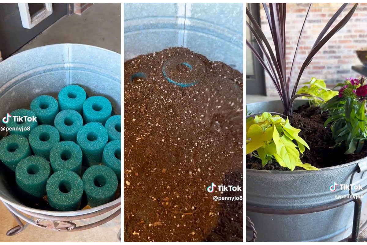 27 Pool Noodle Hacks That Will Improve Your Life