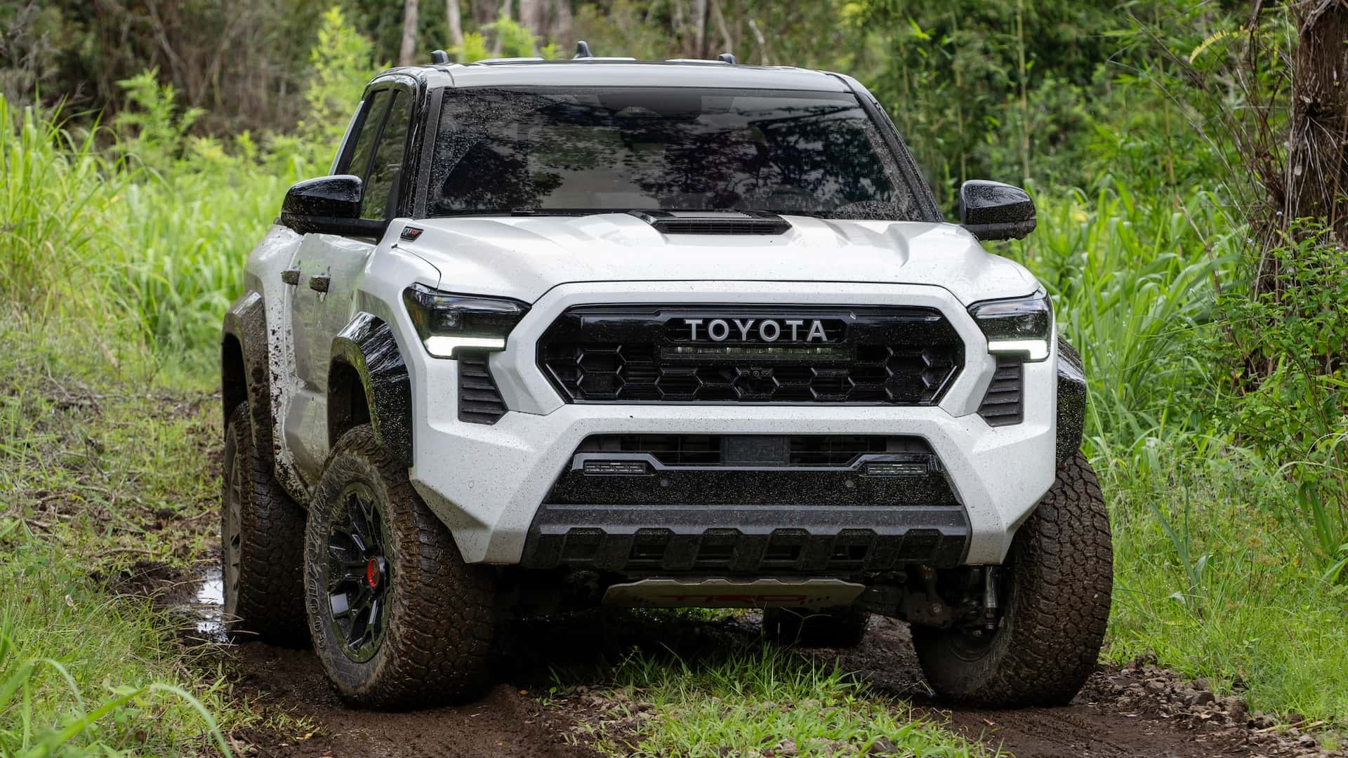 2024 Toyota Tacoma TRD Pro