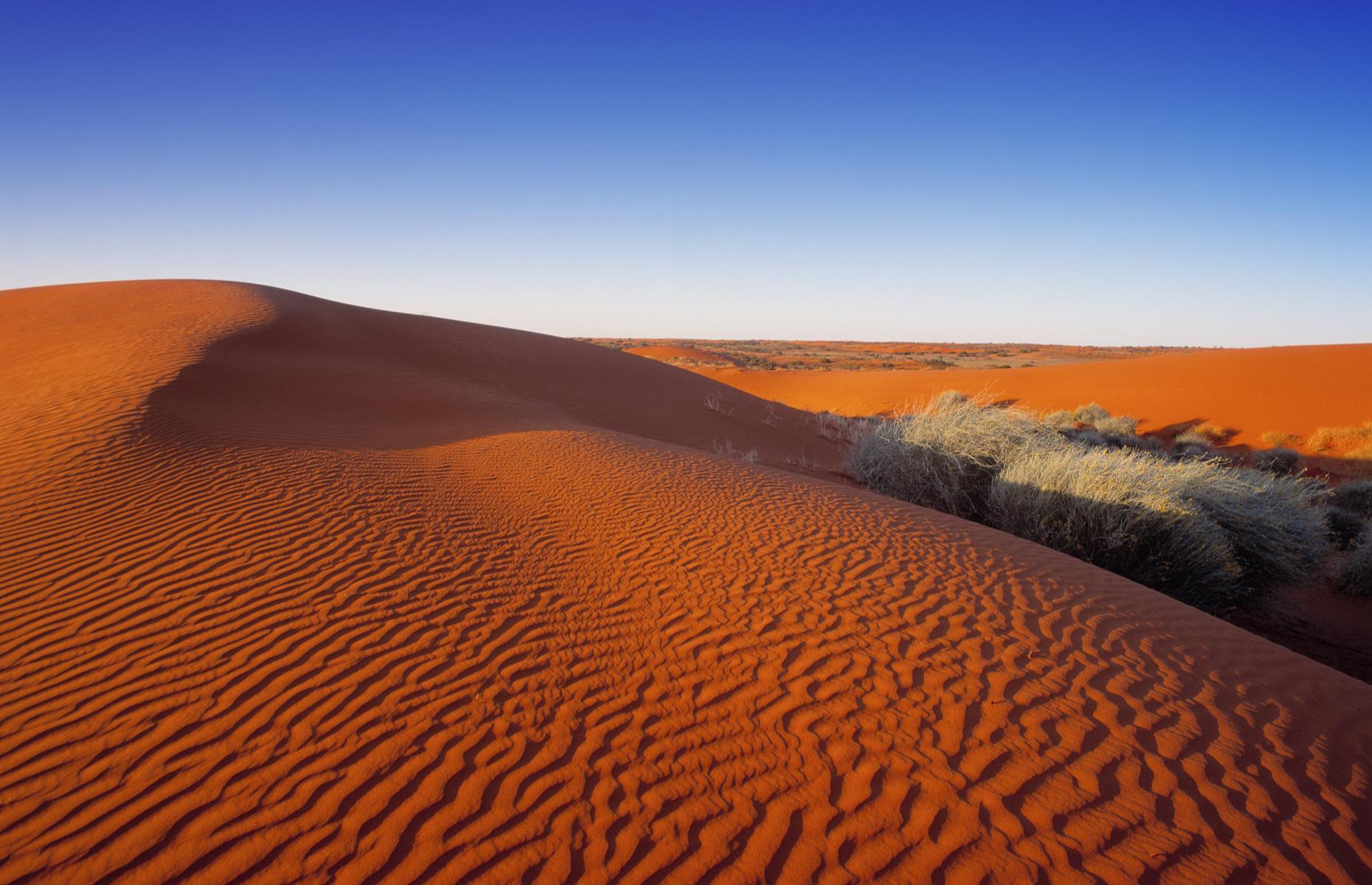 <p>Deep in the heart of Australia, the Simpson Desert is where you’ll find some of its most stark and striking landscapes – rolling red sand dunes, sandstone bluffs and salt pans – and rare wildlife. Covering some 143,000 square km (55,000 sq miles), it straddles three states (Northern Territory, Queensland and South Australia) and is also one of the country’s most harsh and unforgiving regions. Temperatures can soar past 50°C (122°F) in summer so the desert is closed between December and March for safety reasons.</p>