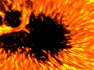 Earth’s Most Powerful Solar Telescope Just Captured a Jaw-Dropping Closeup of the Sun