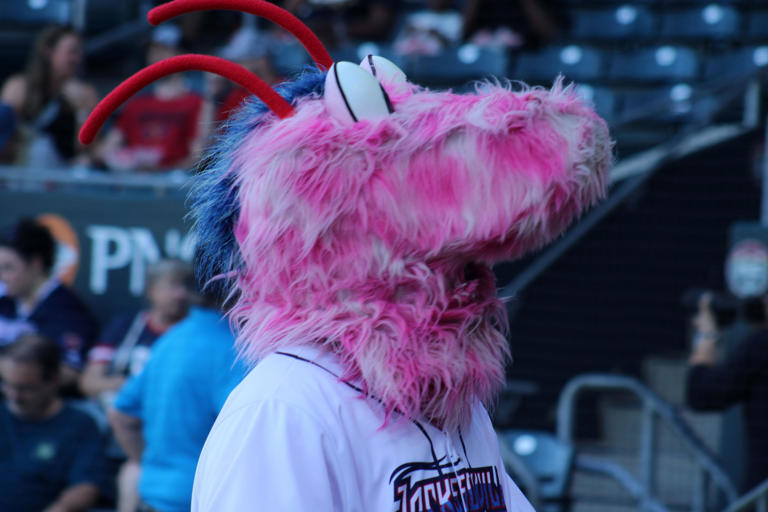 Making a splash: Jacksonville Jumbo Shrimp take plunge into 2024 Triple ...