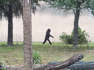 Confident gorilla hilariously perfects the human walk