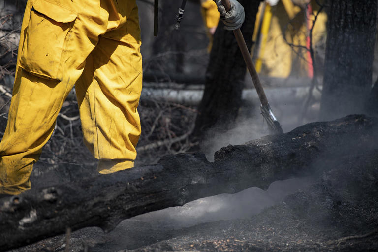 Wildfire brought under control in Lac Ste. Anne County, evacuation ...