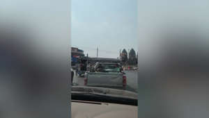 Rowdy wild monkeys vandalise cars stuck in traffic