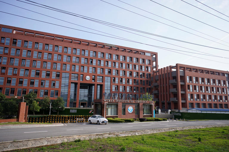 The Wuhan Institute of Virology in Wuhan in May 2020. (Stringer/Reuters)