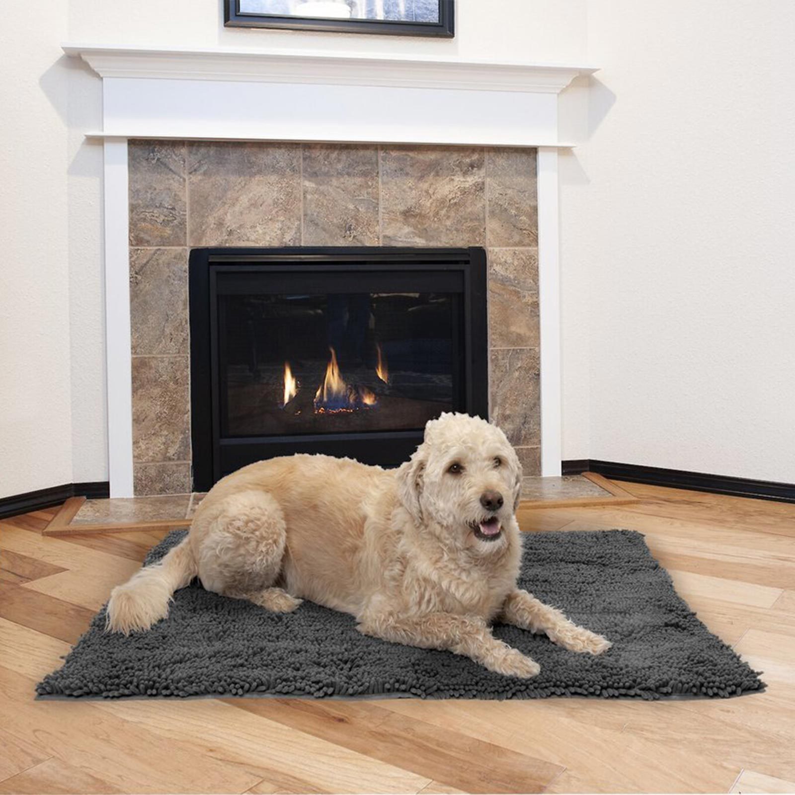 16 Items Every Dog Owner Needs in Their Car for a Safe Road Trip