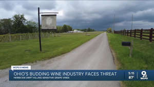 Ohio's budding wine industry faces threat