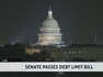 Senate passes debt limit bill