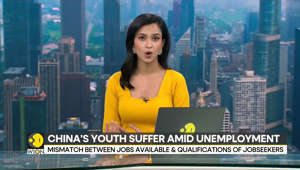 China youth suffer amid unemployment: Over 20% jobseekers unable to find work