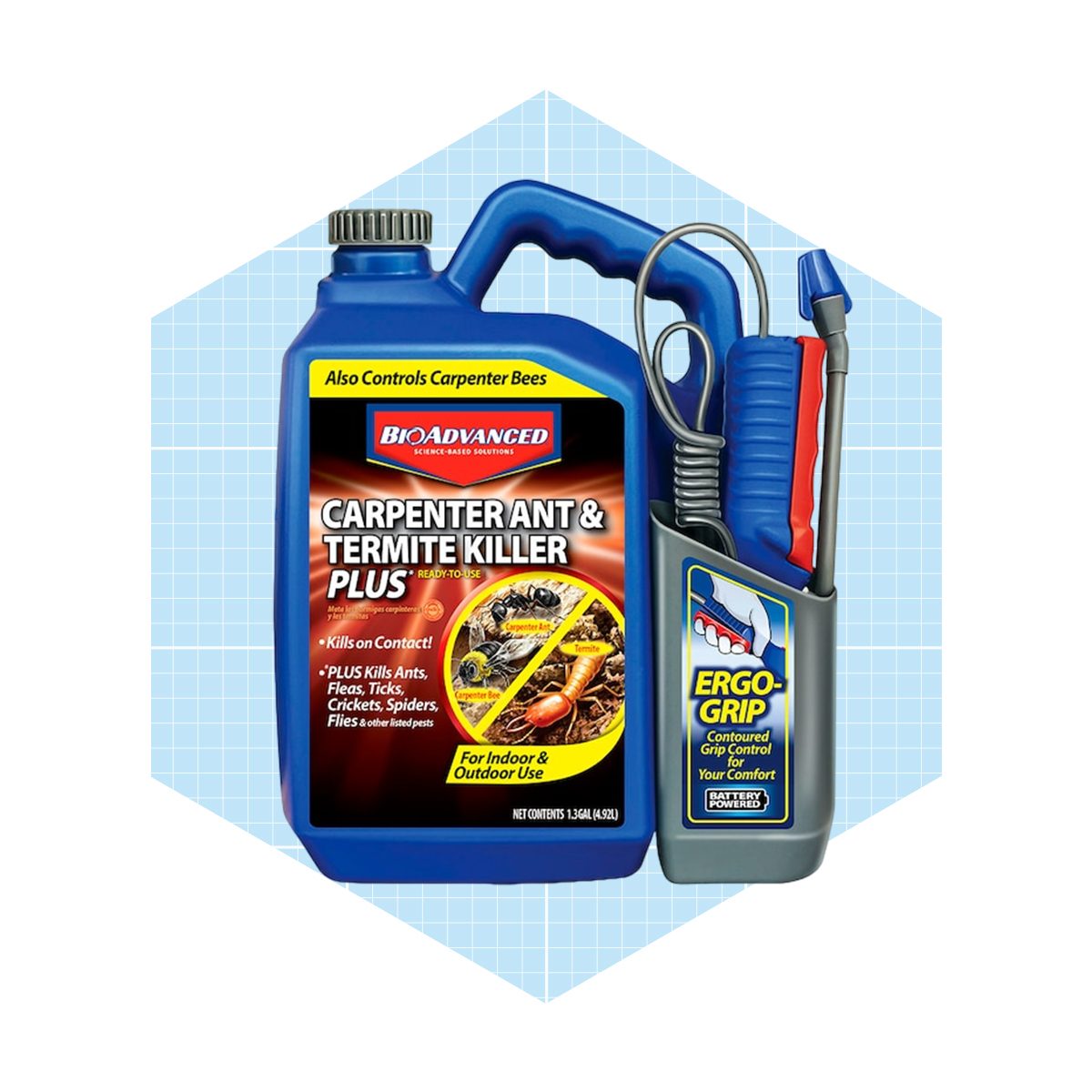 The 5 best termite treatments & sprays for DIY pest control