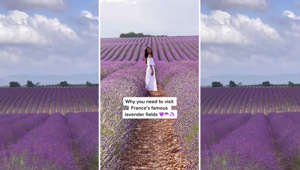 Why You Need to Visit France’s Famous Lavender Fields