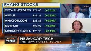 It's really hard to lose in mega-cap tech stocks right now, says Moneta's Aoifinn Devitt