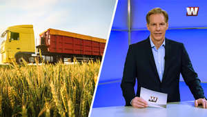 Ukraine-Getreide verzerrt EU-Markt