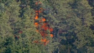 Firefighters work to contain New Jersey forest fire