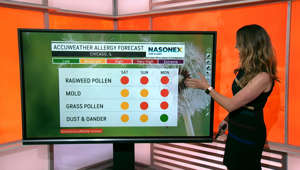 The pollen conditions you can expect across the US this weekend