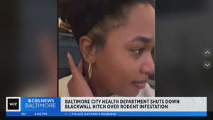 Baltimore restaurant closed over rodent infestation after TikTok goes viral