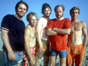 The Beach Boys | Michael Ochs Archives / Stringer