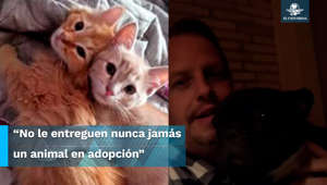 A través de redes sociales una usuaria denunció que tras dar en adopción dos gatos a Randy Ebright, el músico los devolvió