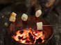 Marshmallows by the Campfire