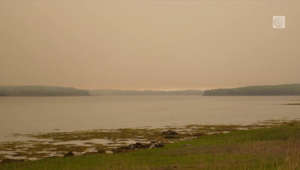 Barrington Lake Wildfire continues to burn in Nova Scotia