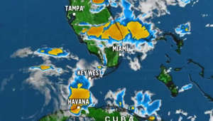 Parts of Florida under flood alert as Arlene brings heavy wind and rain