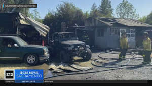 Several pets die in fire at Valley Springs home