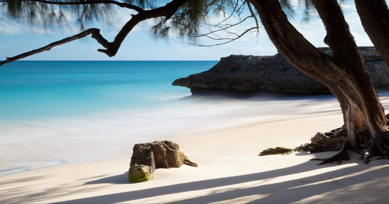 10 Essential Things To Pack for A Trip To Barbados