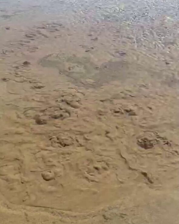 beachcombers warned to take care after strange bubbles appear in sand on welsh beach