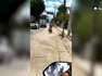 El hombre tenía a su mascota amarrada a la motocicleta y otro conductor captó el momento.