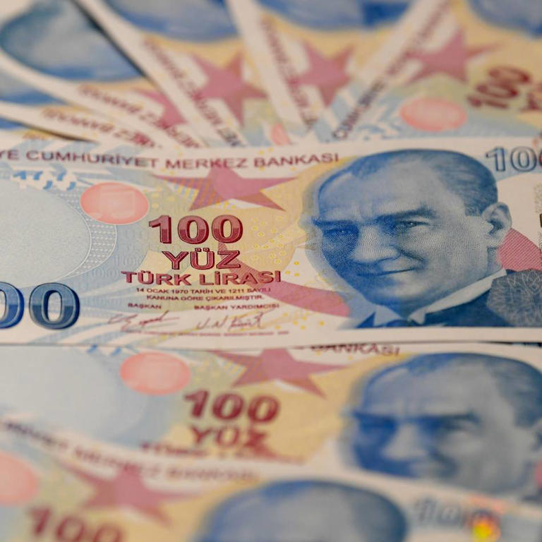 Türkische Lira Banknoten. (Symbolbild)