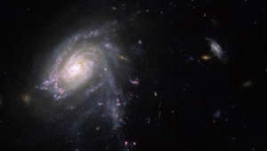 La Jornada - Hubble capta una galaxia con forma de medusa en un abismo cósmico