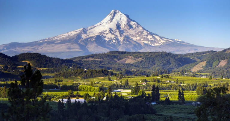 10 Of The Most Scenic Hiking Trails In Oregon (For Varying Skill Levels)