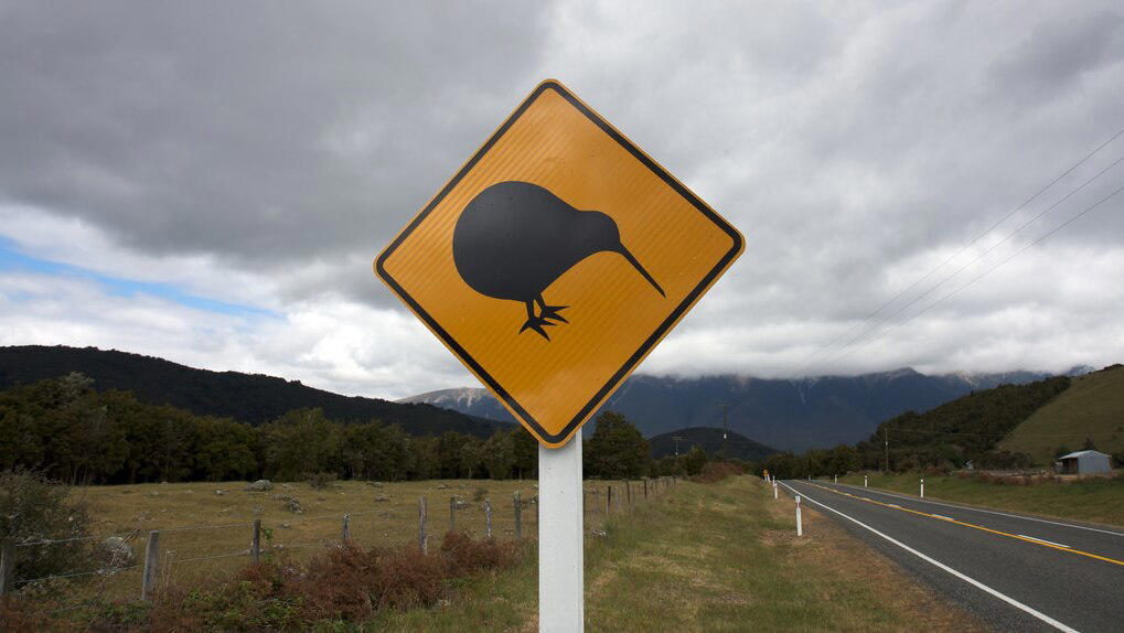 as nz unemployment rises, kiwis are making their way across the tasman