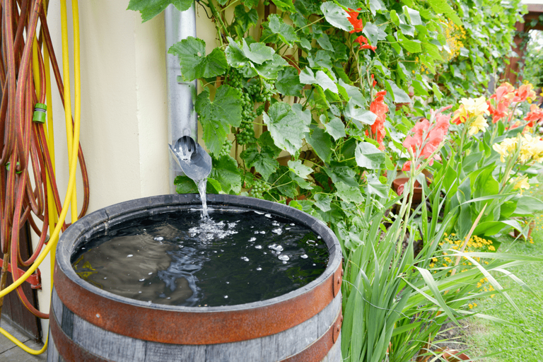 The Benefits Of Using A Rain Barrel To Water Your Garden