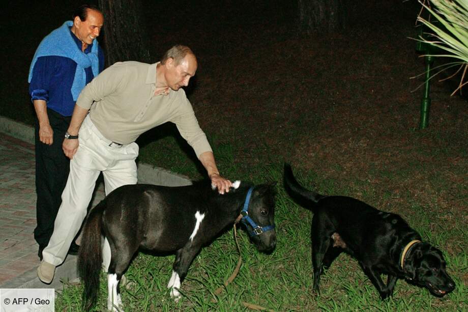 Le poney de Berlusconi
